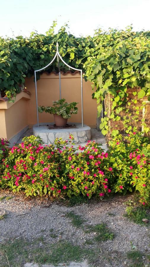 Apartament Jadranka *