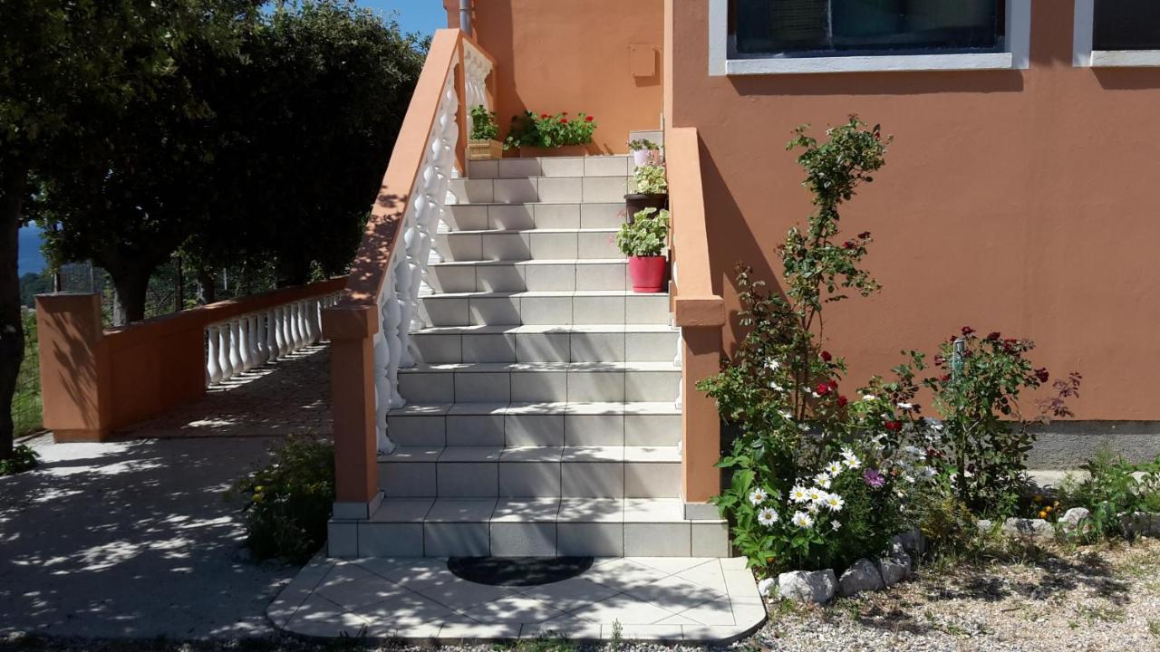 Apartment Jadranka Palit
